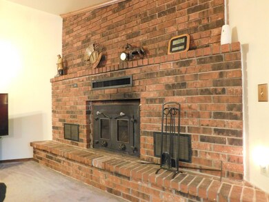. Fire Place Close Up
