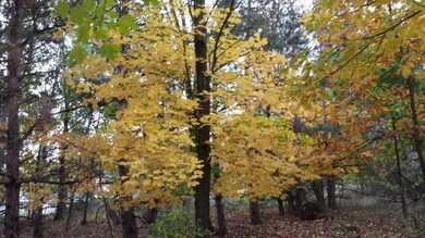 20141014_114545