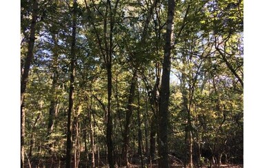 0 SW Manatee Terrace, Ft. White, FL 32038 - photo 3