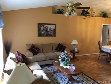View from front door to living room with plant she