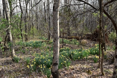 0 Castle Creek Ln, Roseland, VA 22967 - photo 4