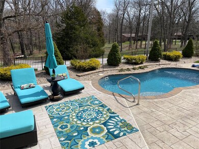 Current picture of pool with white vinyl panels removed.