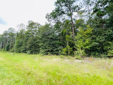 Tract 3 U S 319, Tifton, GA 31794 - photo 2