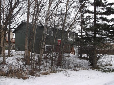 front & yard