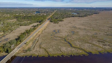 4141 S Us Highway 17, Brunswick, GA 31523 - photo 2
