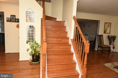 2313 S Hampton Dr, Bryans Road, MD 20616 - photo 6