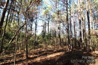7+/- AC LOT 3 Hartness Rd, Clover, SC 29710 - photo 5