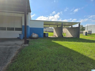 258 Jackson St, Rockford, AL 35136 - photo 2