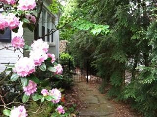 Antique gate, path to the back yard