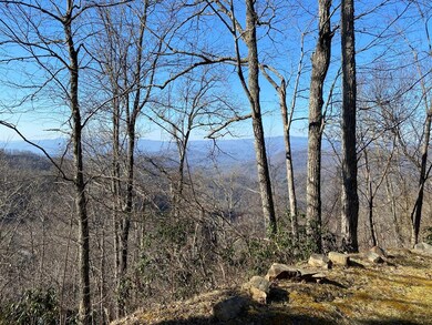 Potential Views