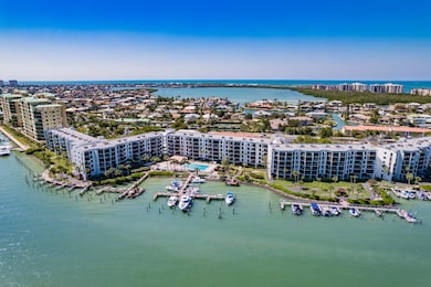 Aerial with Docks