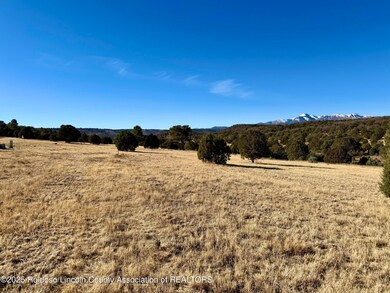 118 Rainmaker Dr, Alto, NM 88312 - photo 5