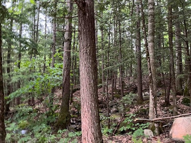 169 Newman Drew Rd, Ossipee, NH 03890 - photo 2