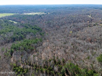 0 Chester Quinn Ln, Parsons, TN 38363 - photo 6