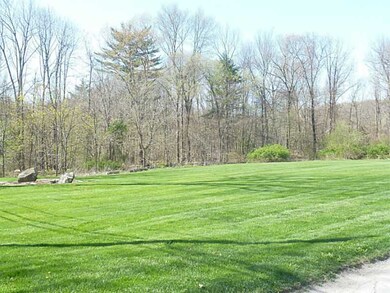Yard/Garden.