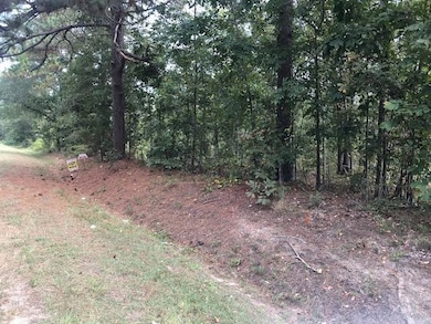 Tbd US Highway 278, Barnwell, SC 29812 - photo 2