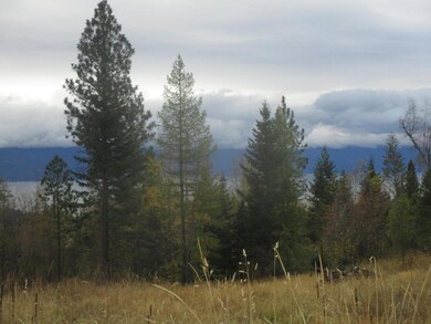 Nhn Damorecy Dr, Rollins, MT 59931 - photo 4