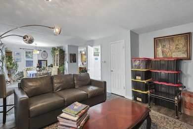 7-web-or-mls-G02A4613