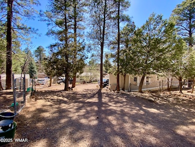 640 S Clark Rd, Show Low, AZ 85901 - photo 6