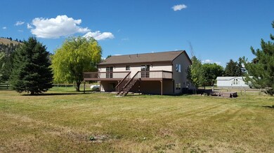 back yard 1
