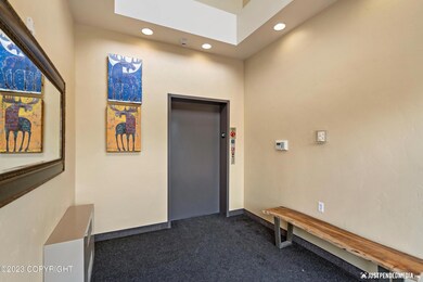 Entrance elevator
