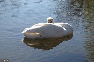 812 Eastover Pkwy, Locust Grove, VA 22508 - photo 6