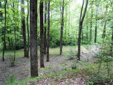 Wooded area beside the house