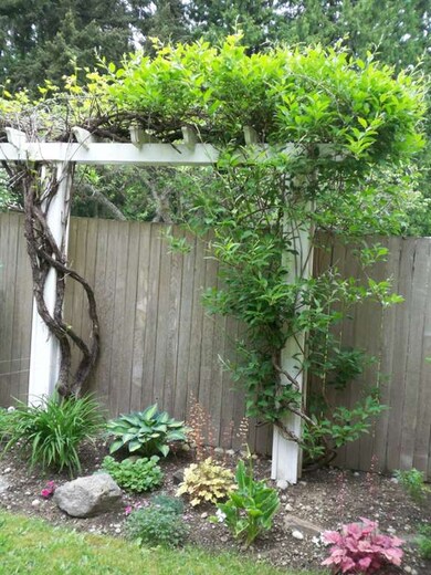 6013 185th Place SW, Lynnwood, WA 98037 - photo 7