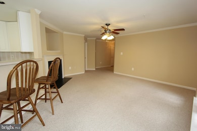 2511 Shelley Cir unit 1A, Frederick, MD 21702 - photo 6