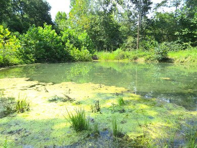 mammoth spring arkansas3