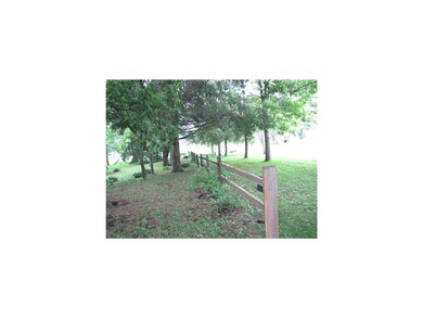 View. East property line