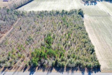 TBD Highway 76, Nichols, SC 29581 - photo 5