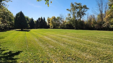 Back Yard - Extra Acreage(2)