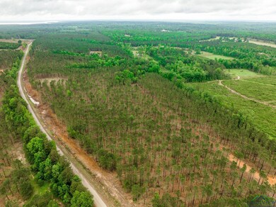 TBD Cr 3659, Queen City, TX 75572 - photo 7