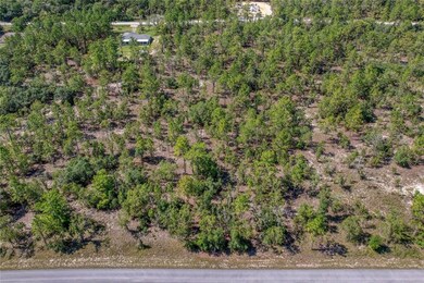 TBD SW Nautilus Blvd, Dunnellon, FL 34431 - photo 2