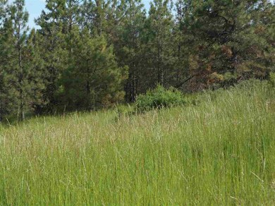 3710 W Crandall Ln, Spokane, WA 99208 - photo 7