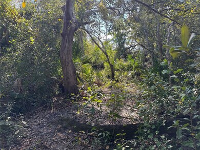 0 Upper Manatee River Rd unit MFRA4673310, Bradenton, FL 34212 - photo 7