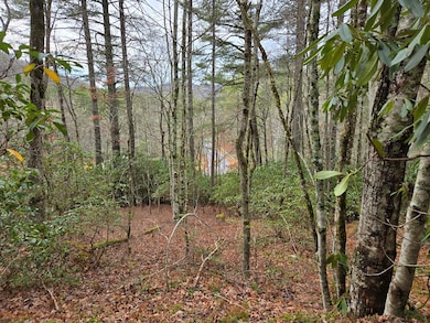 unlisted-address, Tuckasegee, NC 28783 - photo 7