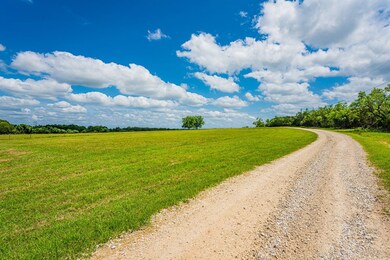 1085 Hollmig Ln, Fredericksburg, TX 78624 - photo 6