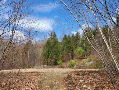 0 Oxbow Rd, Hinsdale, NH 03451 - photo 4