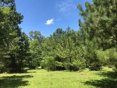 Lot 5 Guillebeau Rd, Lincolnton, GA 30817 - photo 3