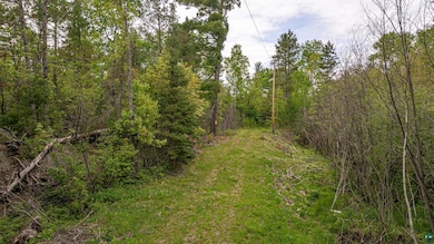 1777 Grant McMahan Blvd, Ely, MN 55731 - photo 3