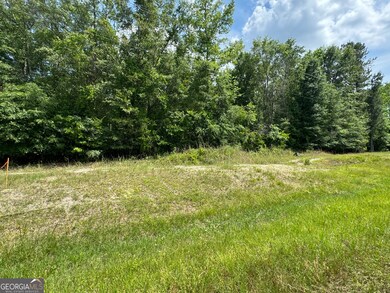0 Reedsville Rd unit 10556762, Clyo, GA 31303 - photo 3