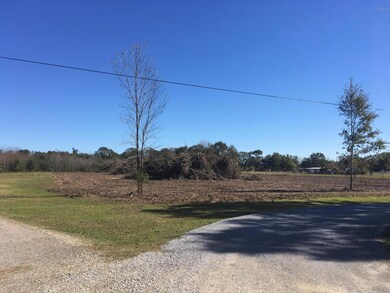 3 ACRES RECENTLY CLEARED