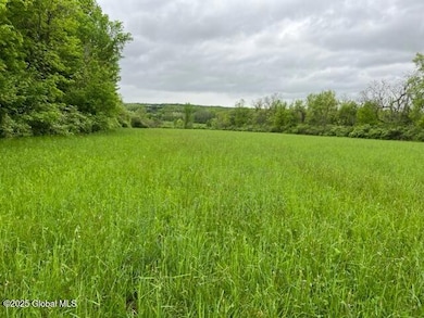 L1.12 Carlisle Rd, Canajoharie, NY 13317 - photo 2