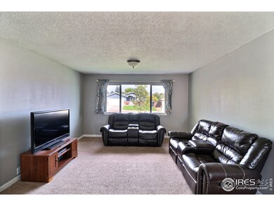 Light, Bright, and Comfortable