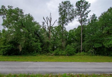 TBD SW 138th St, Ocala, FL 34473 - photo 6
