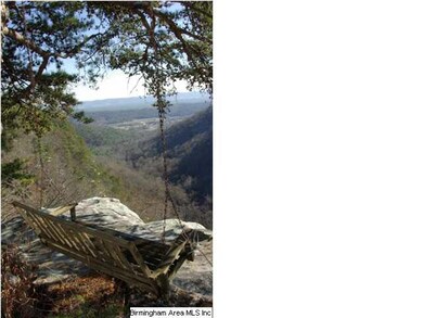 Enjoy the View!
