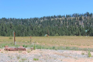 Fire Pit & Picnic Area