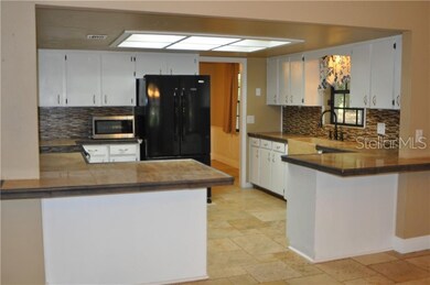 2641 Hempel Ave, Windermere, FL 34786 - photo 2